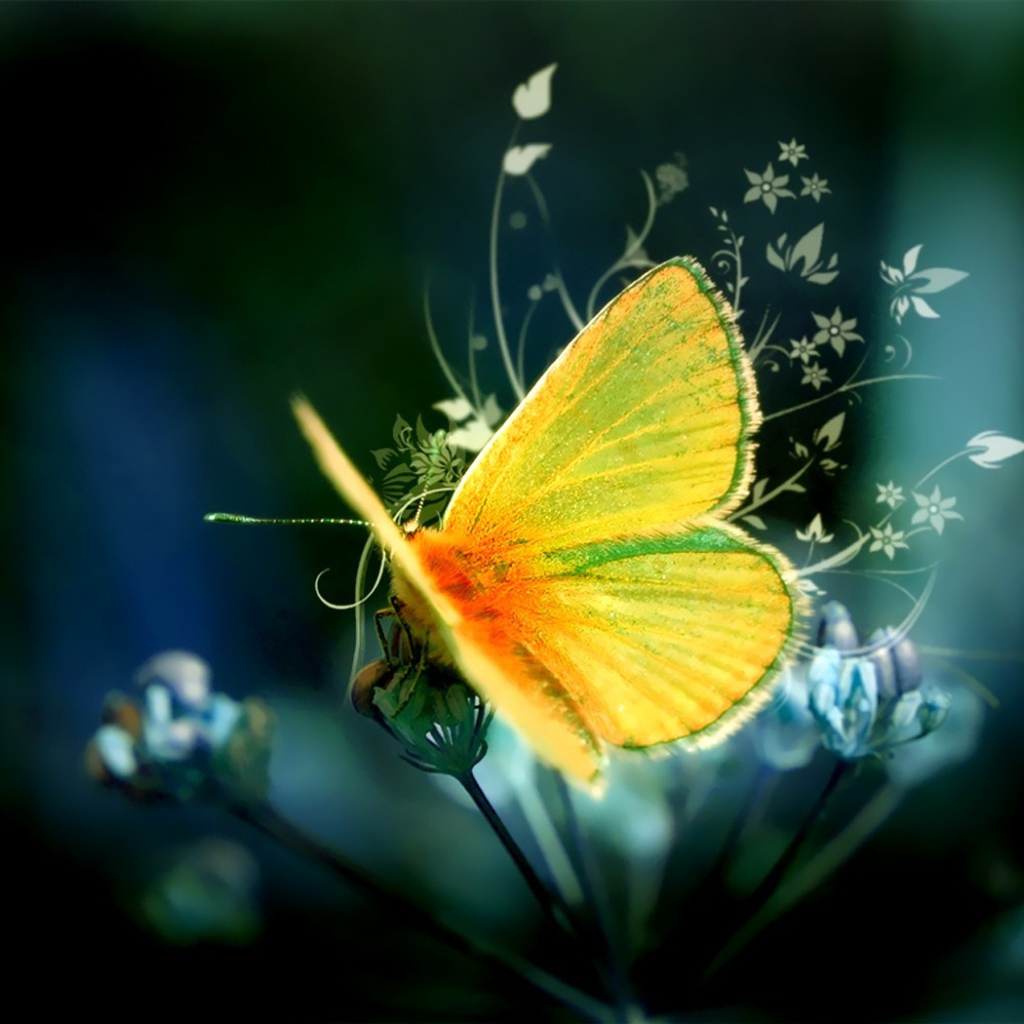 Желтая бабочка на цветке