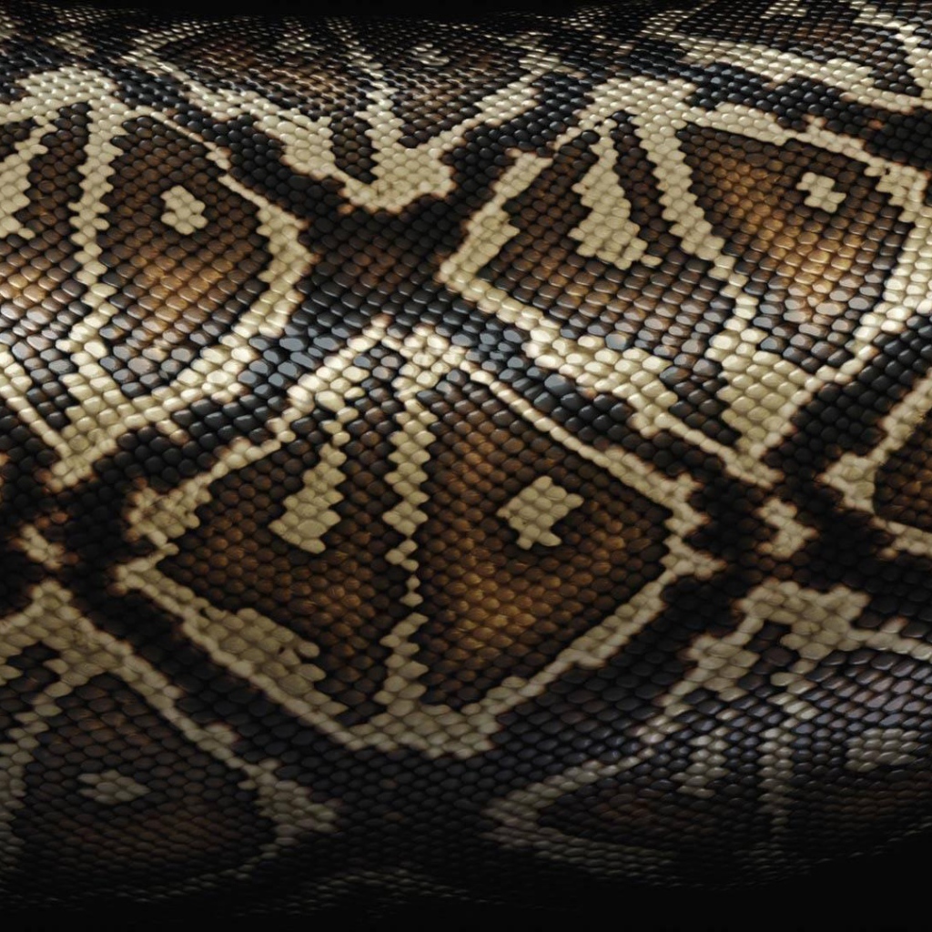 Красивая змеиная шкура