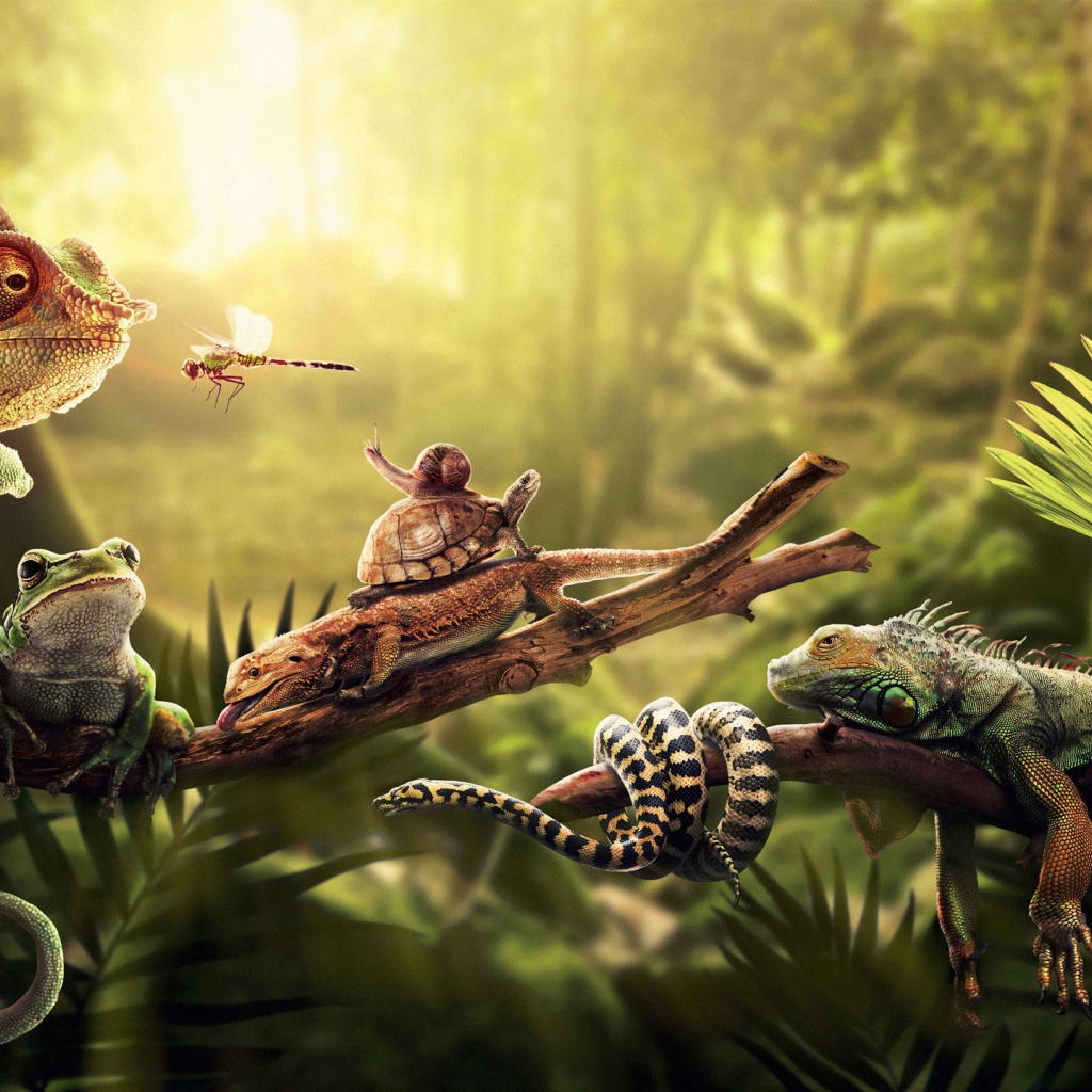 Насекомые ящерицы и змеи