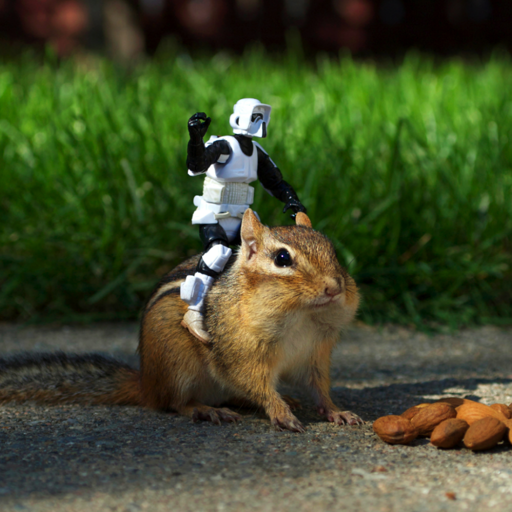 Робот верхом на бурундуке