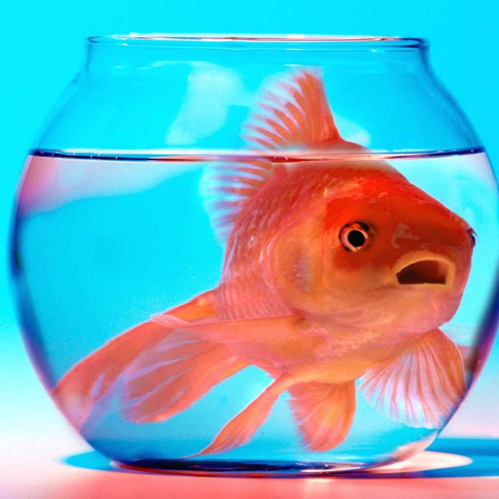 Не волнуйся