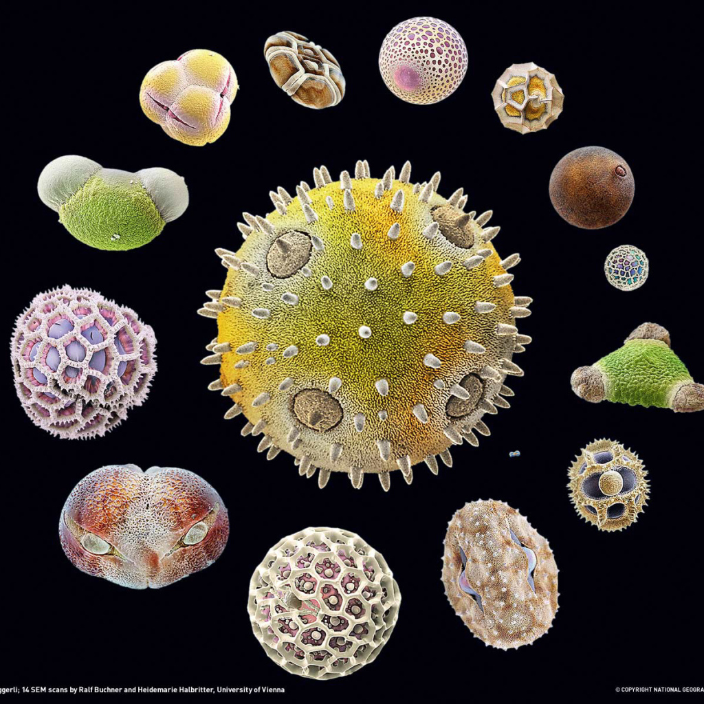 Морская тема