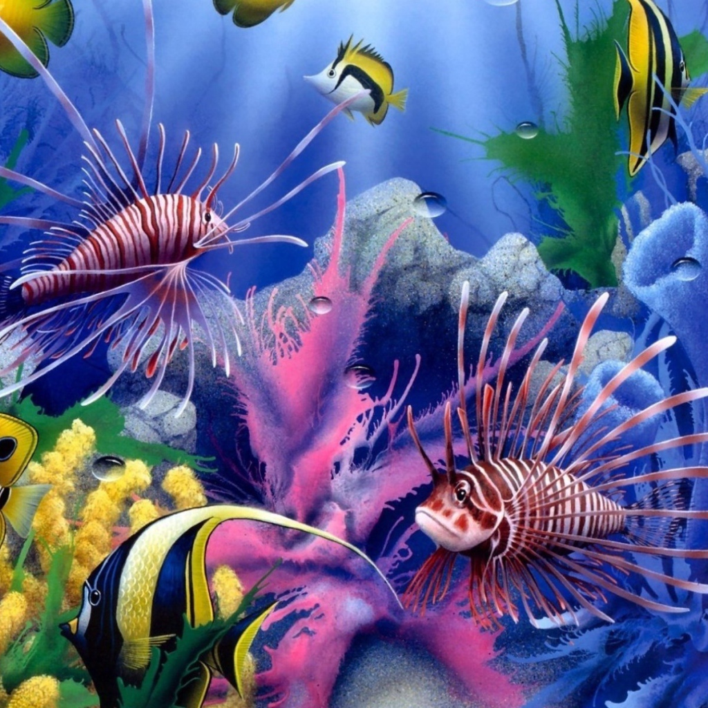 Красота подводной жизни