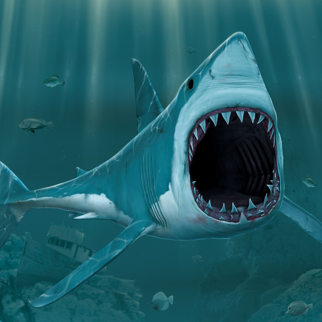 Зубастая акула