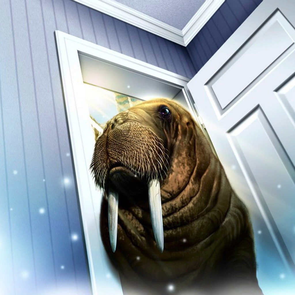 Морж пришел в дом