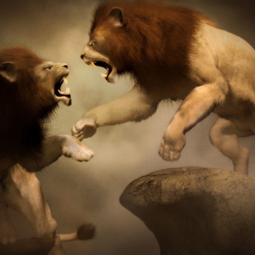 Битва двух львов