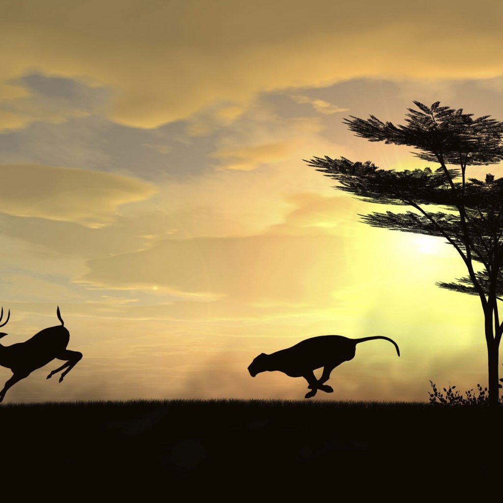 Хищник и его добыча