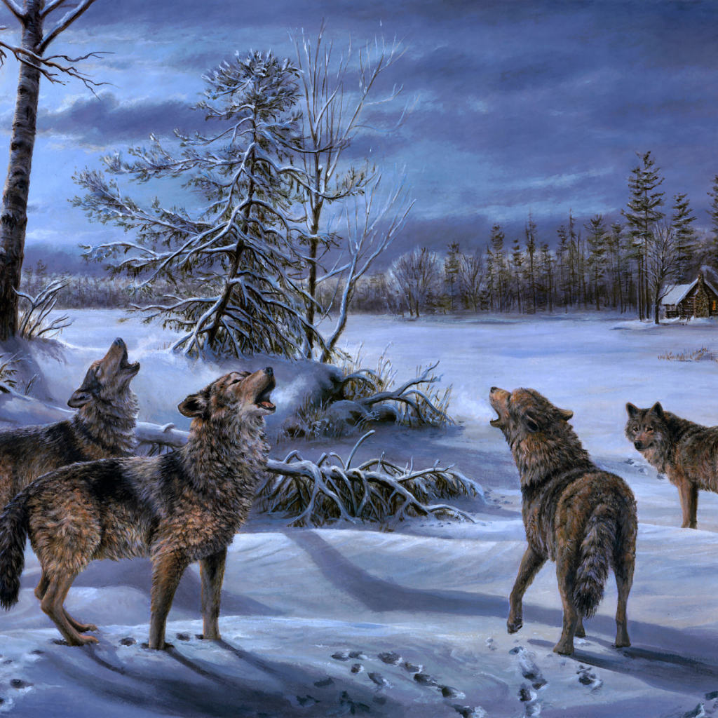 A pack of wolves moonlit night