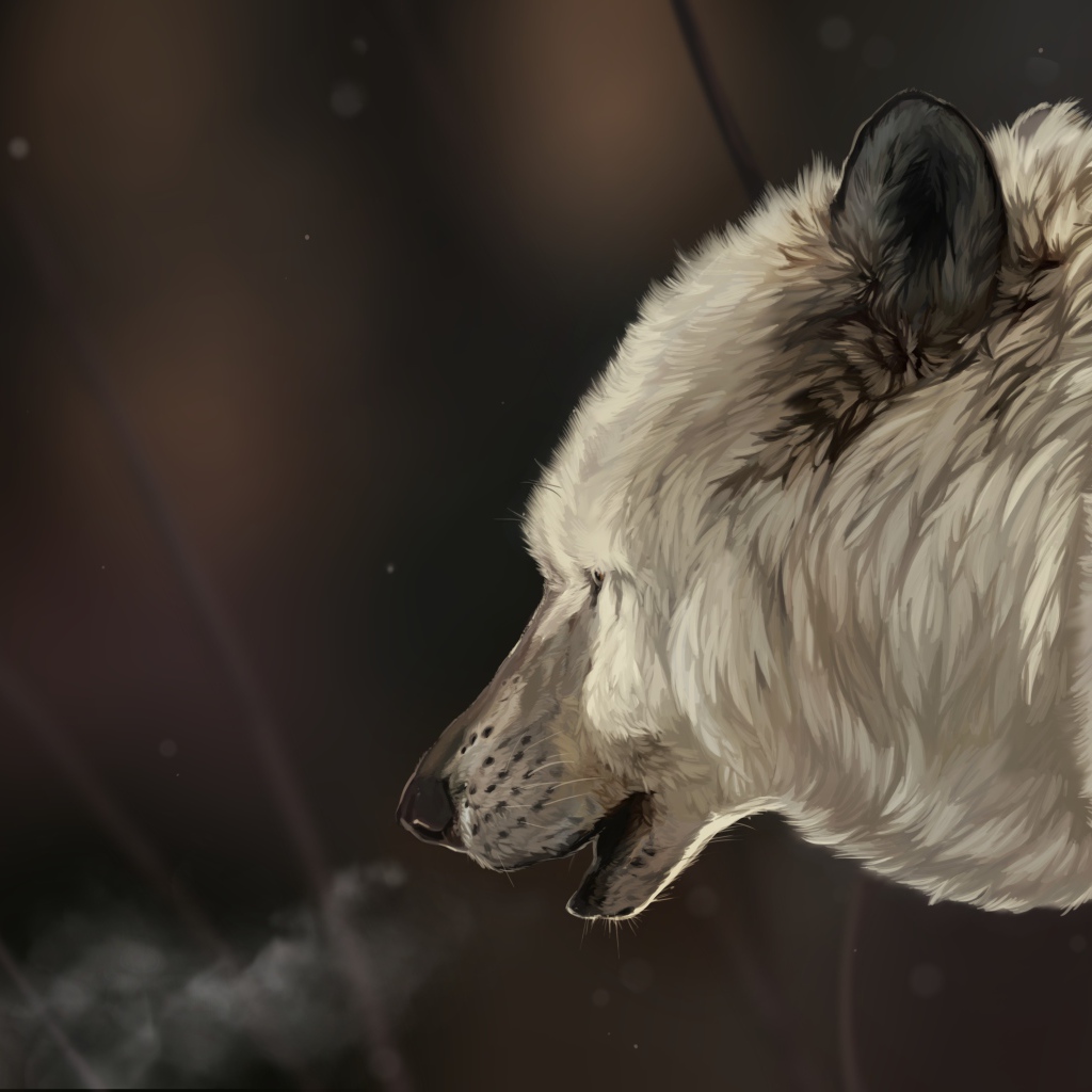 Голова белого волка