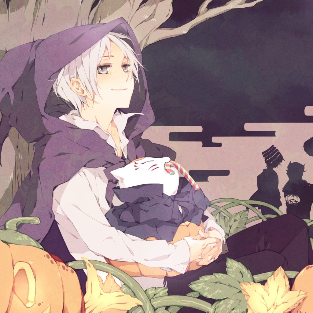 Тетрадь дружбы нацумэ