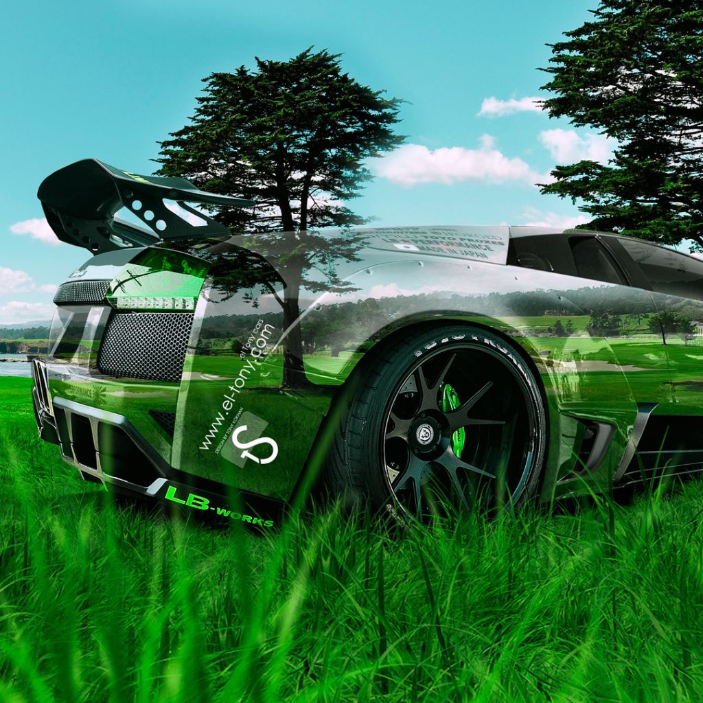 Lamborghini Murcielago в траве