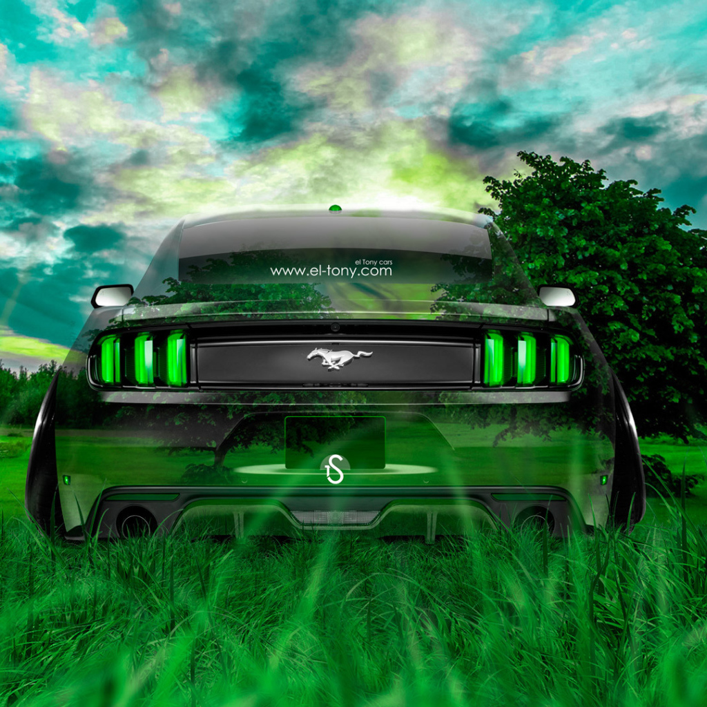 Мустанг единение с природой