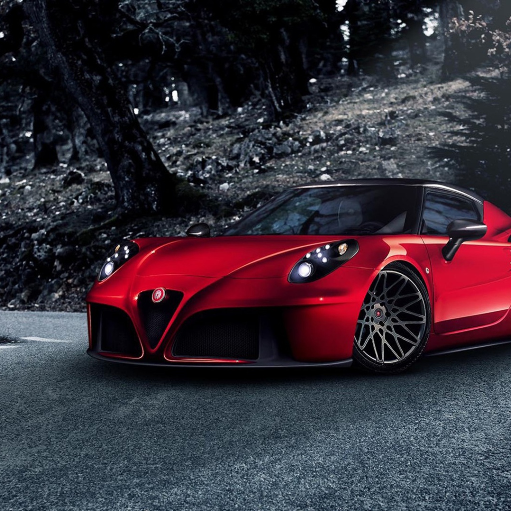 Гоночный Alfa Romeo 4C 2014 года