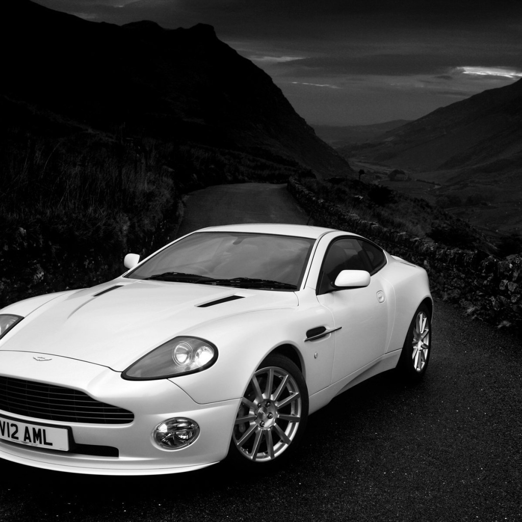 Тест драйв автомобиля Aston Martin v12