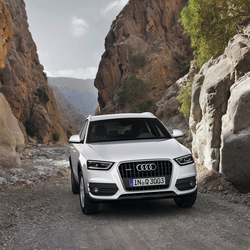 Великолепный Audi Q3