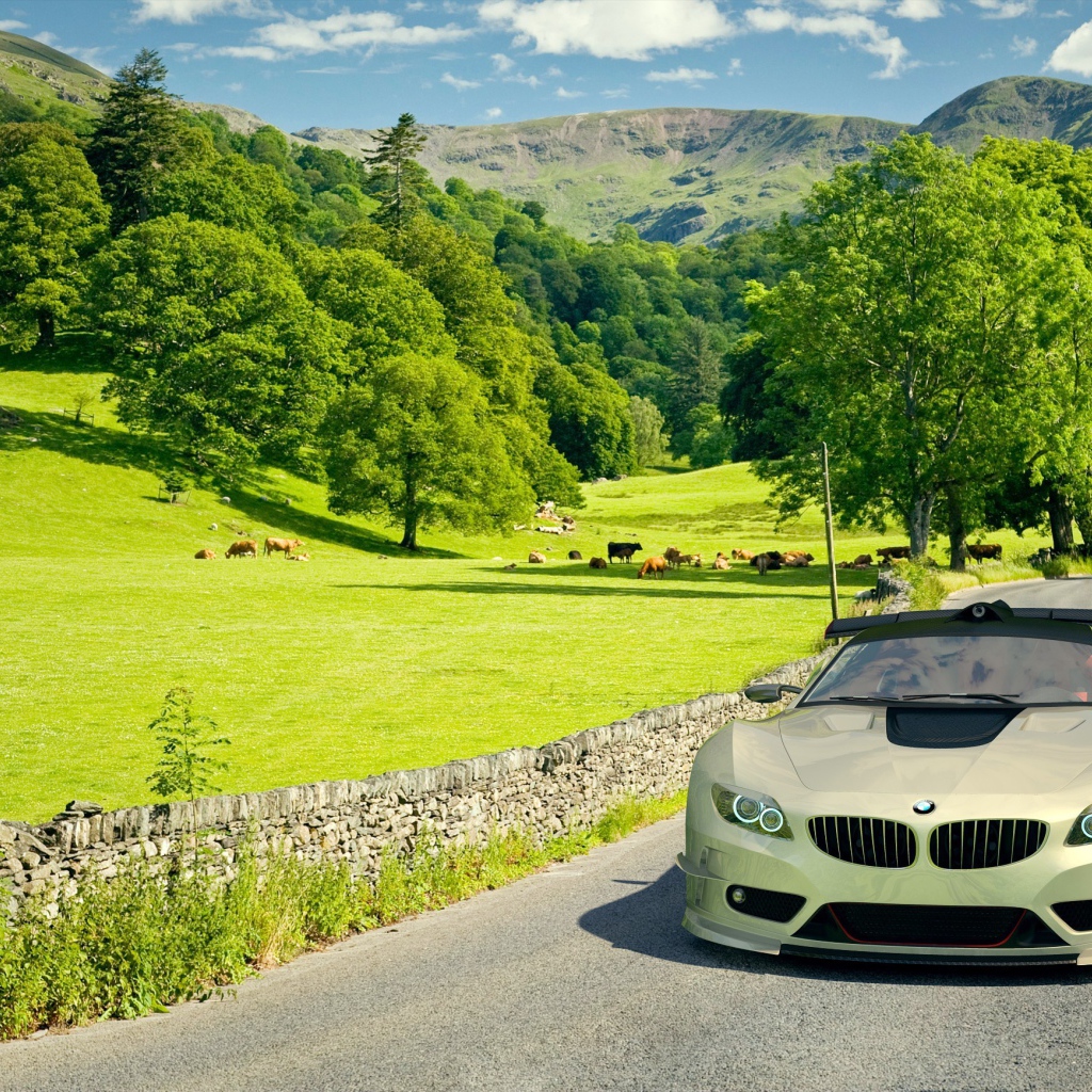 Автомобиль BMW на поле