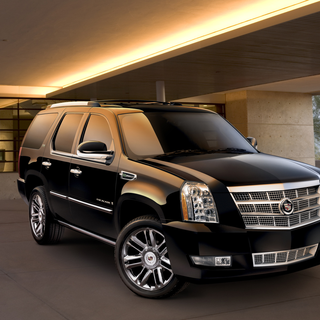 Домашний зверь Cadillac Escalade 2014