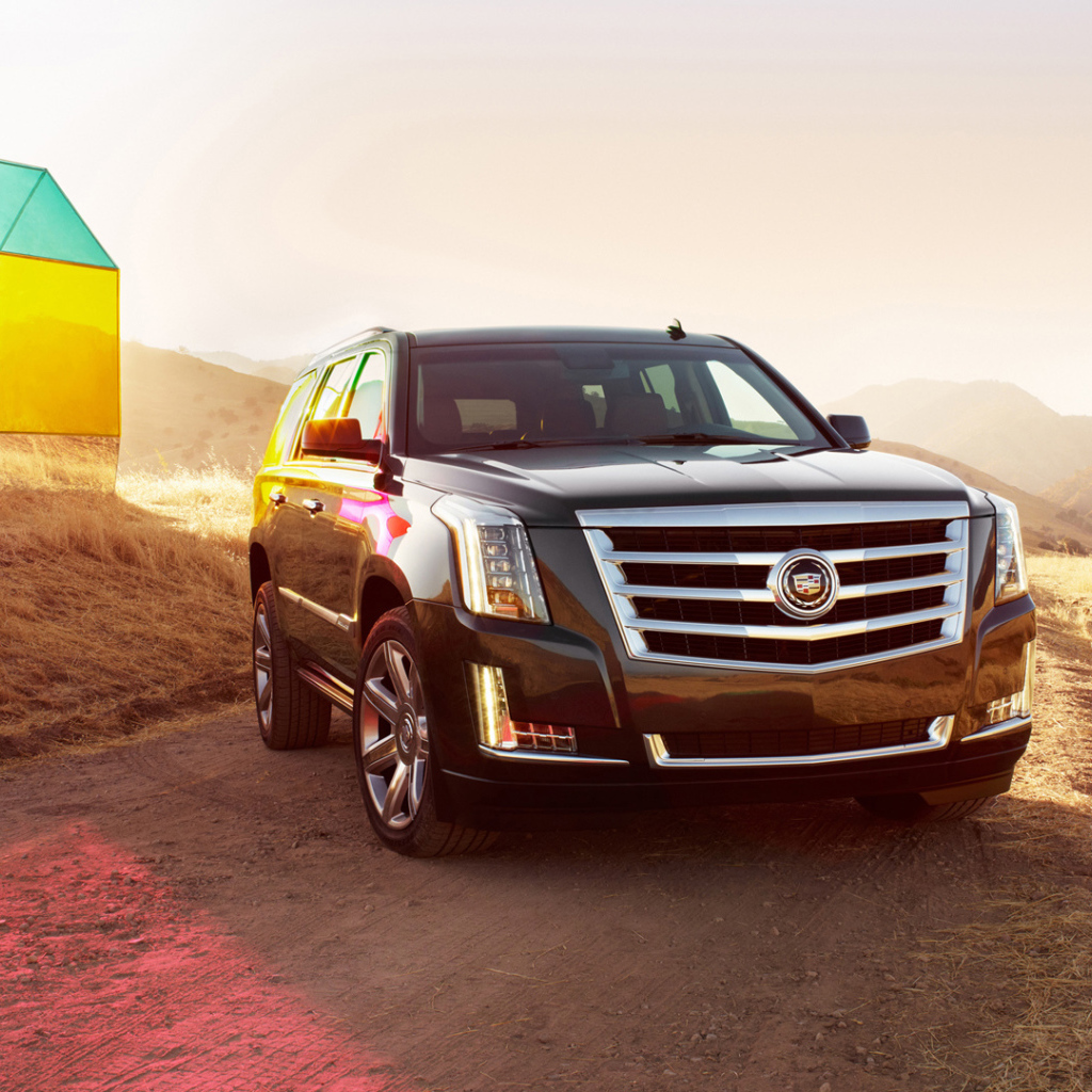 Путешественник Cadillac Escalade 2014