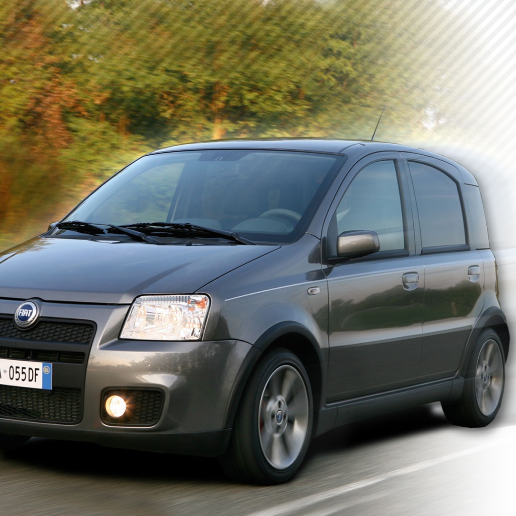Автомобиль марки Fiat модели Panda