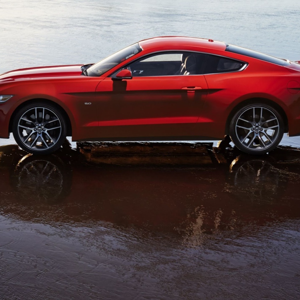 Тест драйв автомобиля Ford Mustang 2014 года