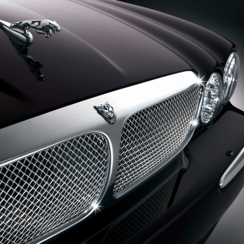 Передок Ягуара