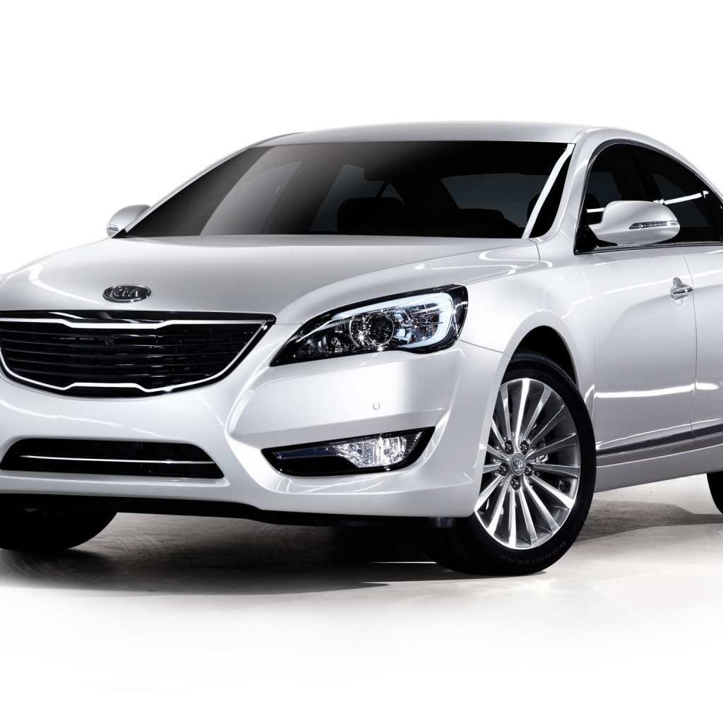 Тест драйв автомобиля Kia Cadenza 2014 года