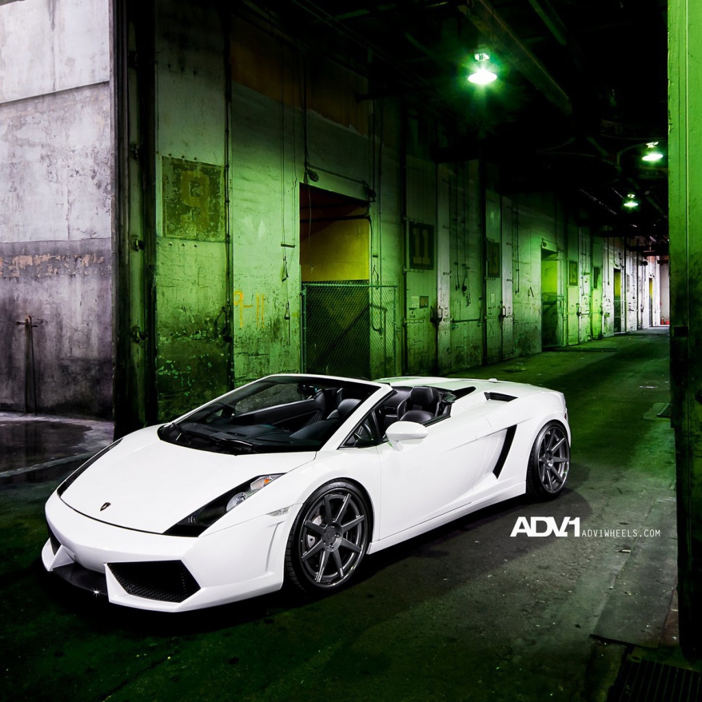 Белый Lamborghini Gallardo