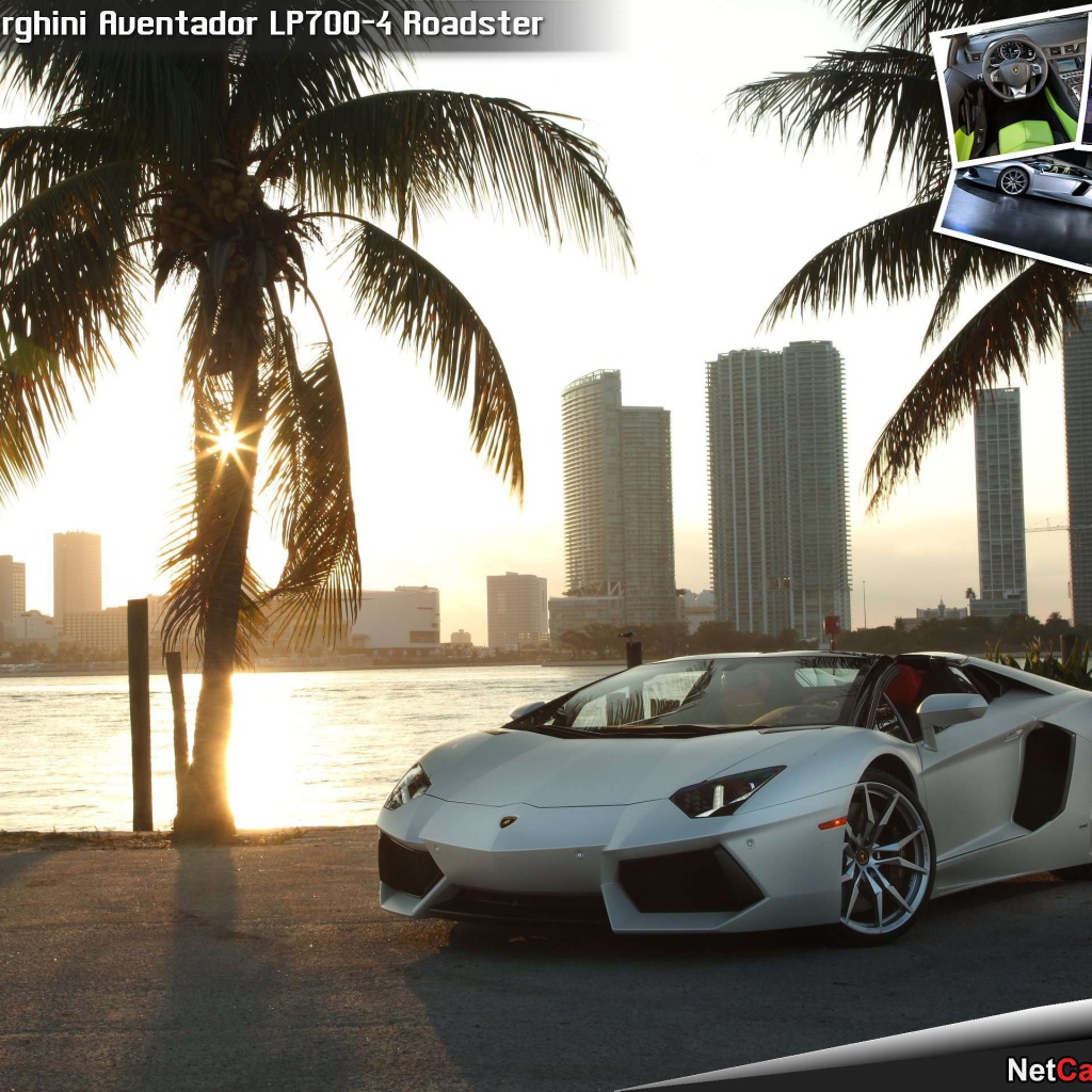 Автомобиль Lamborghini Avendator 2014 на дороге