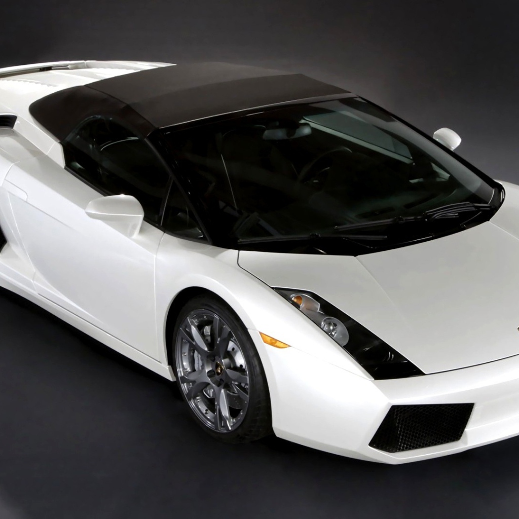 Черно белый Lamborghini 