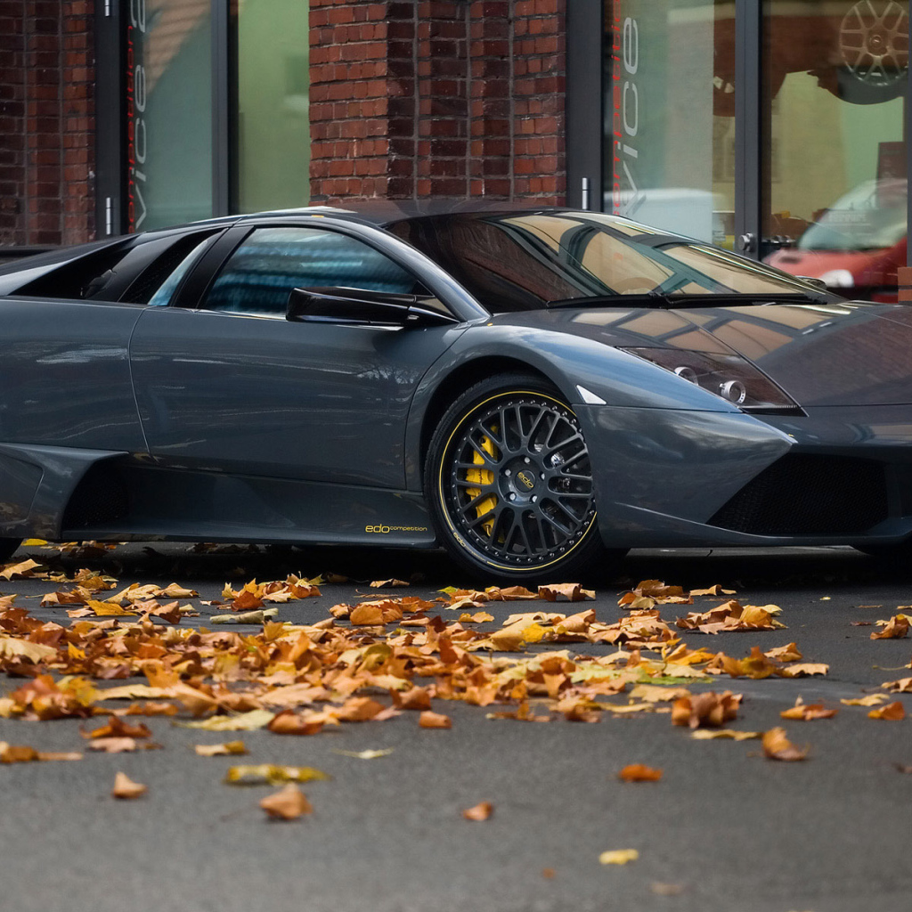 Ламборджини на осенней улице
