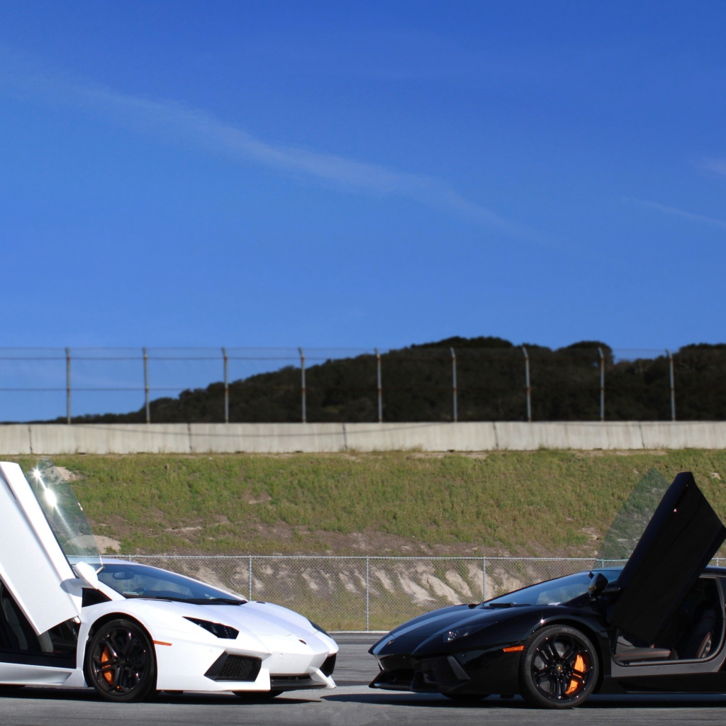 Белый и черный ламборджини