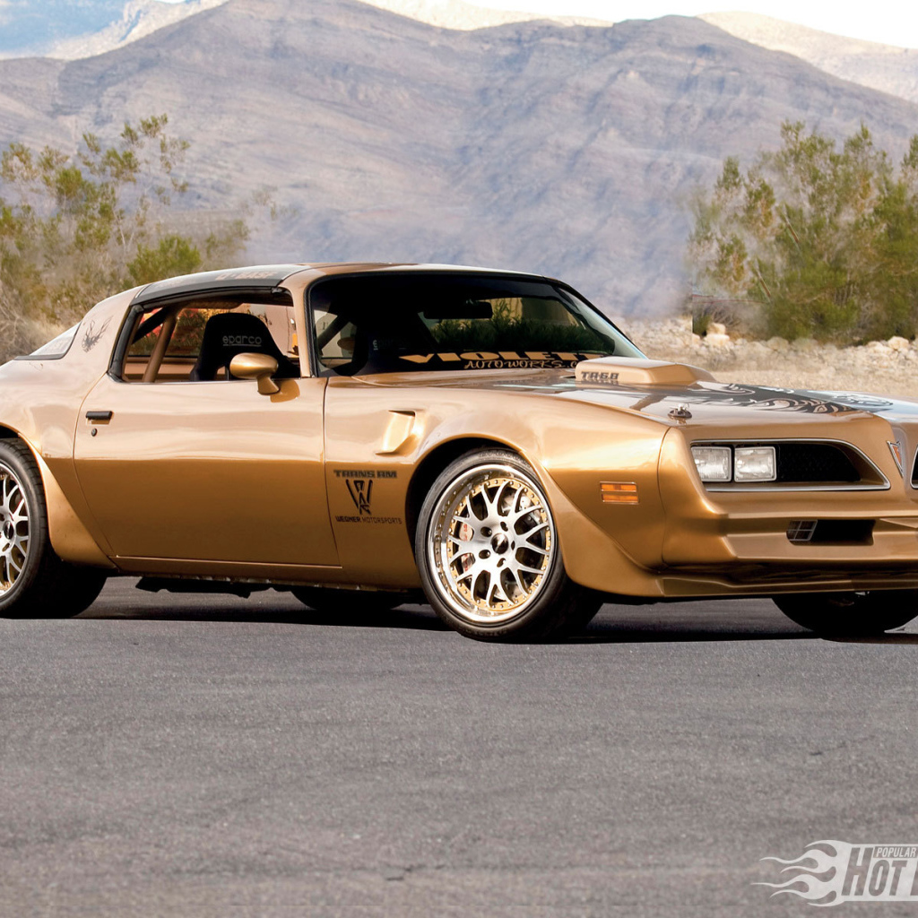 Тест драйв автомобиля Pontiac Trans Am