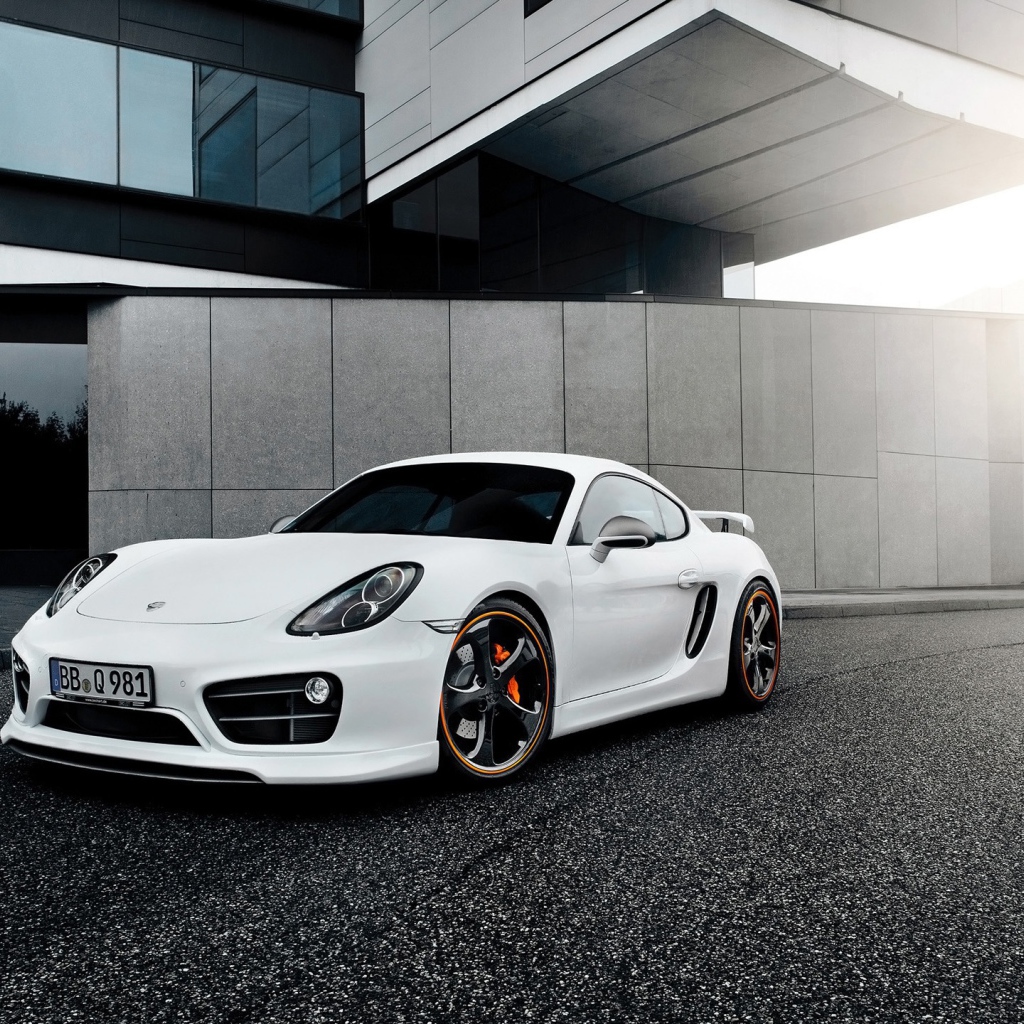 Techart Porsche Cayman 2014 год