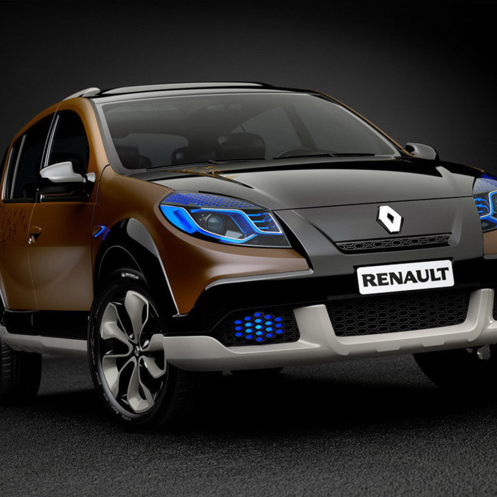 Красивый автомобиль Renault Sandero в Москве