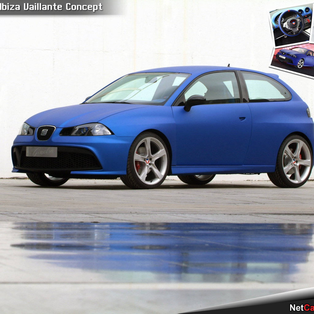 Красивый автомобиль Seat Ibiza в Москве