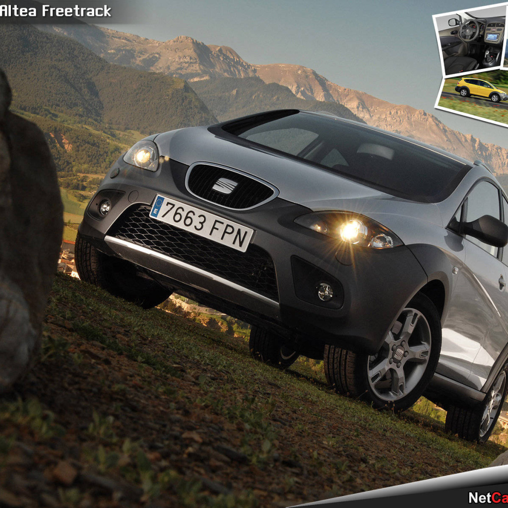 Автомобиль Seat Altea на дороге