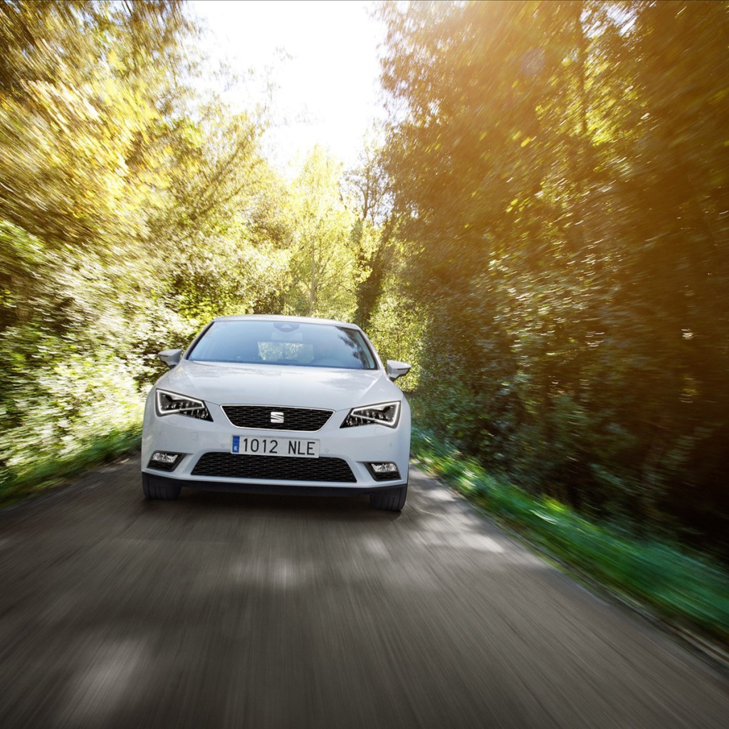 Автомобиль Seat leon на дороге