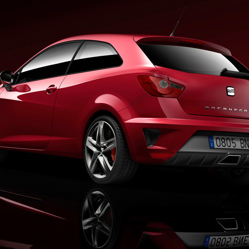 Автомобиль Seat Ibiza на дороге
