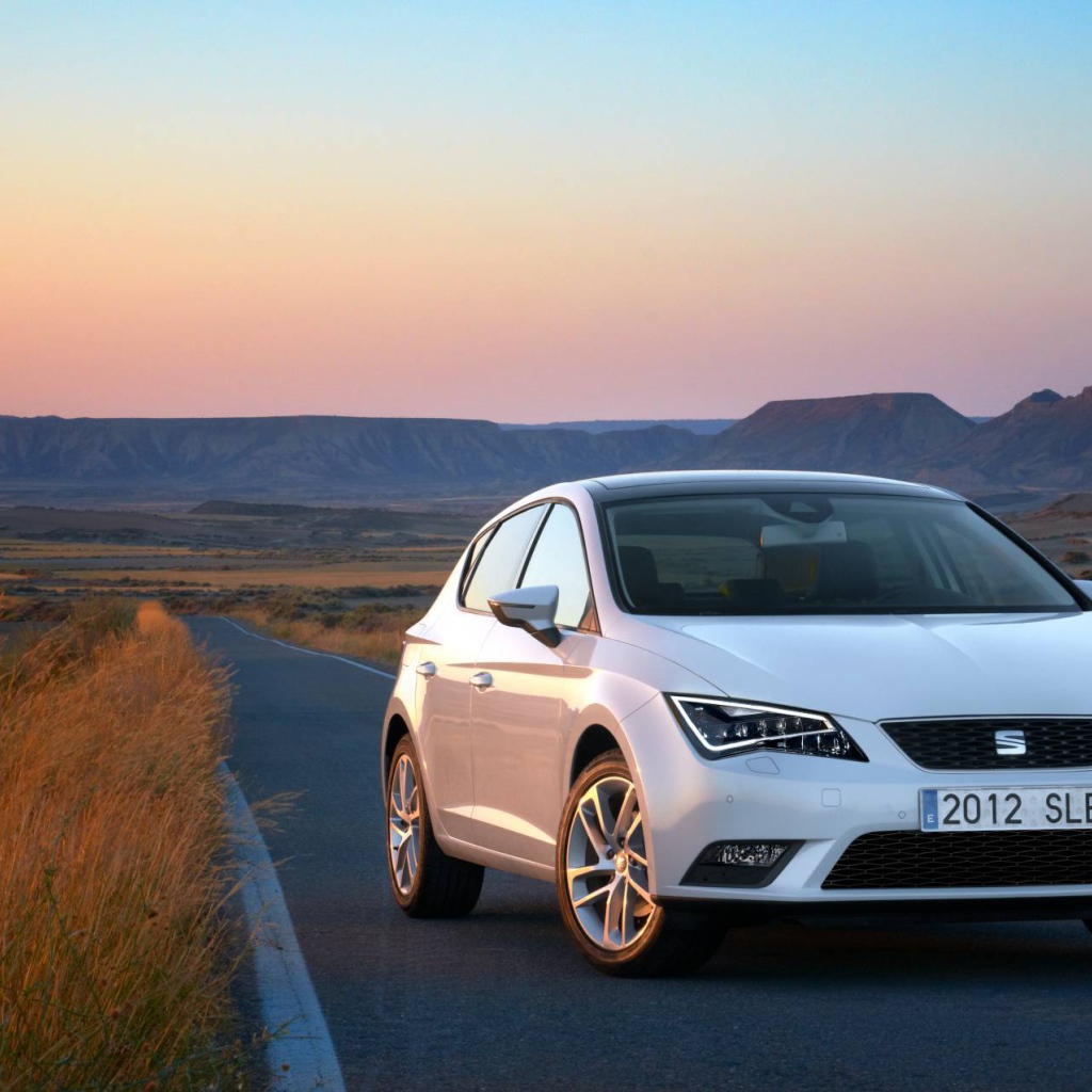 Надежная машина Seat leon