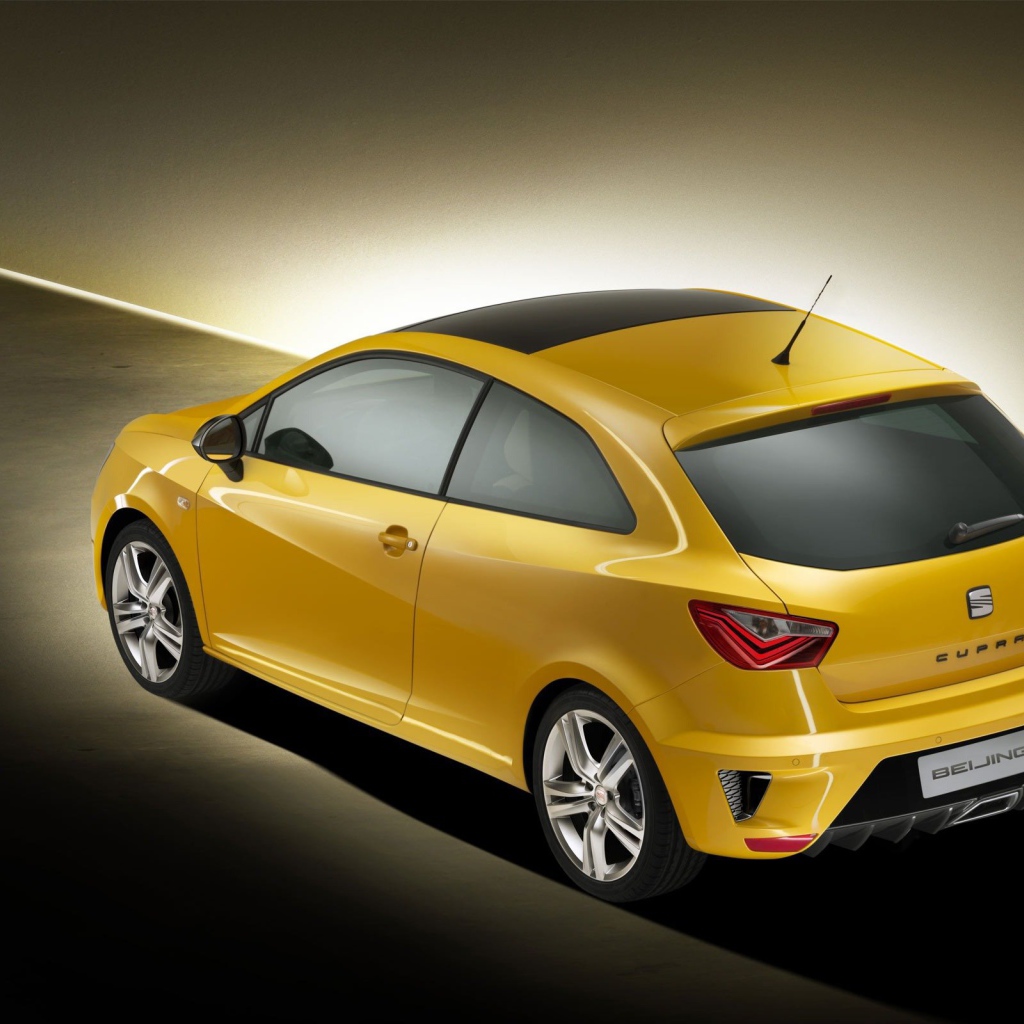 Тест драйв автомобиля Seat Ibiza
