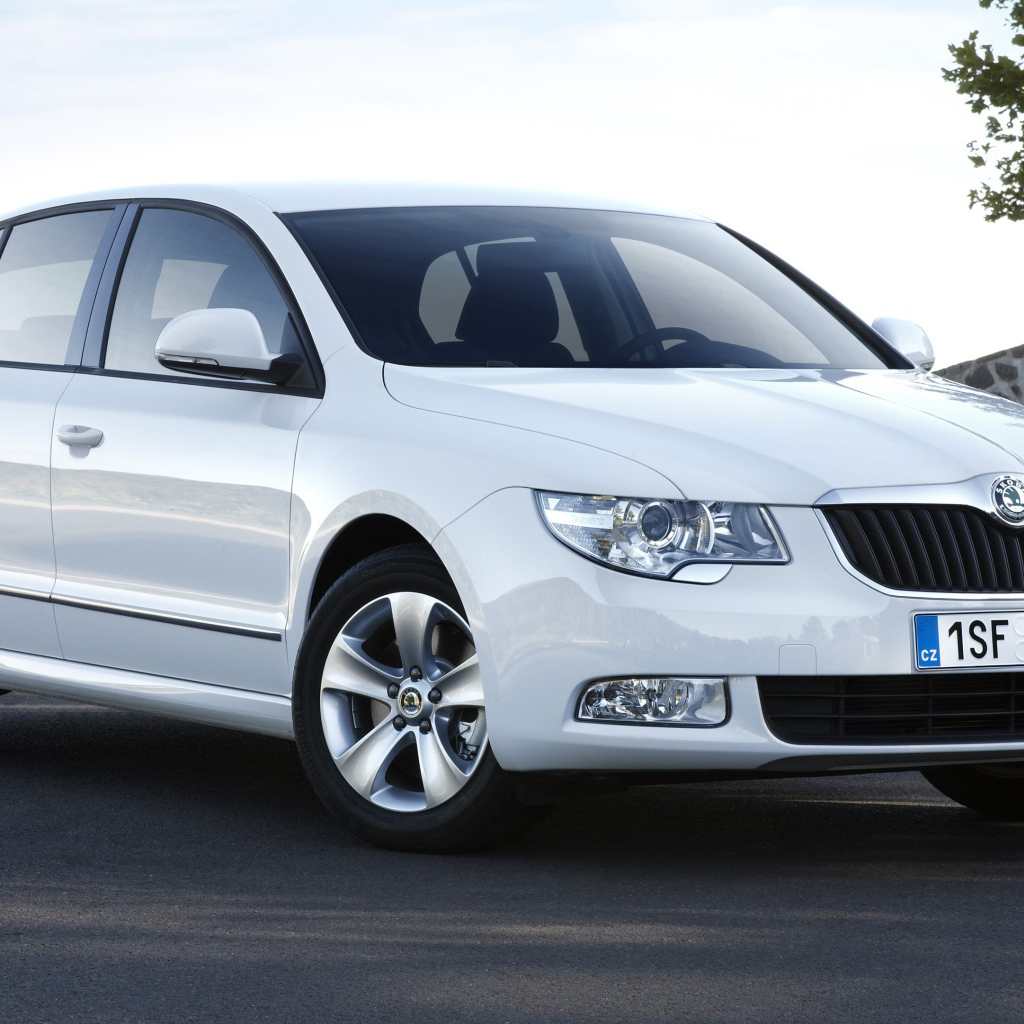 Красивый автомобиль Skoda Octavia Scout 2014