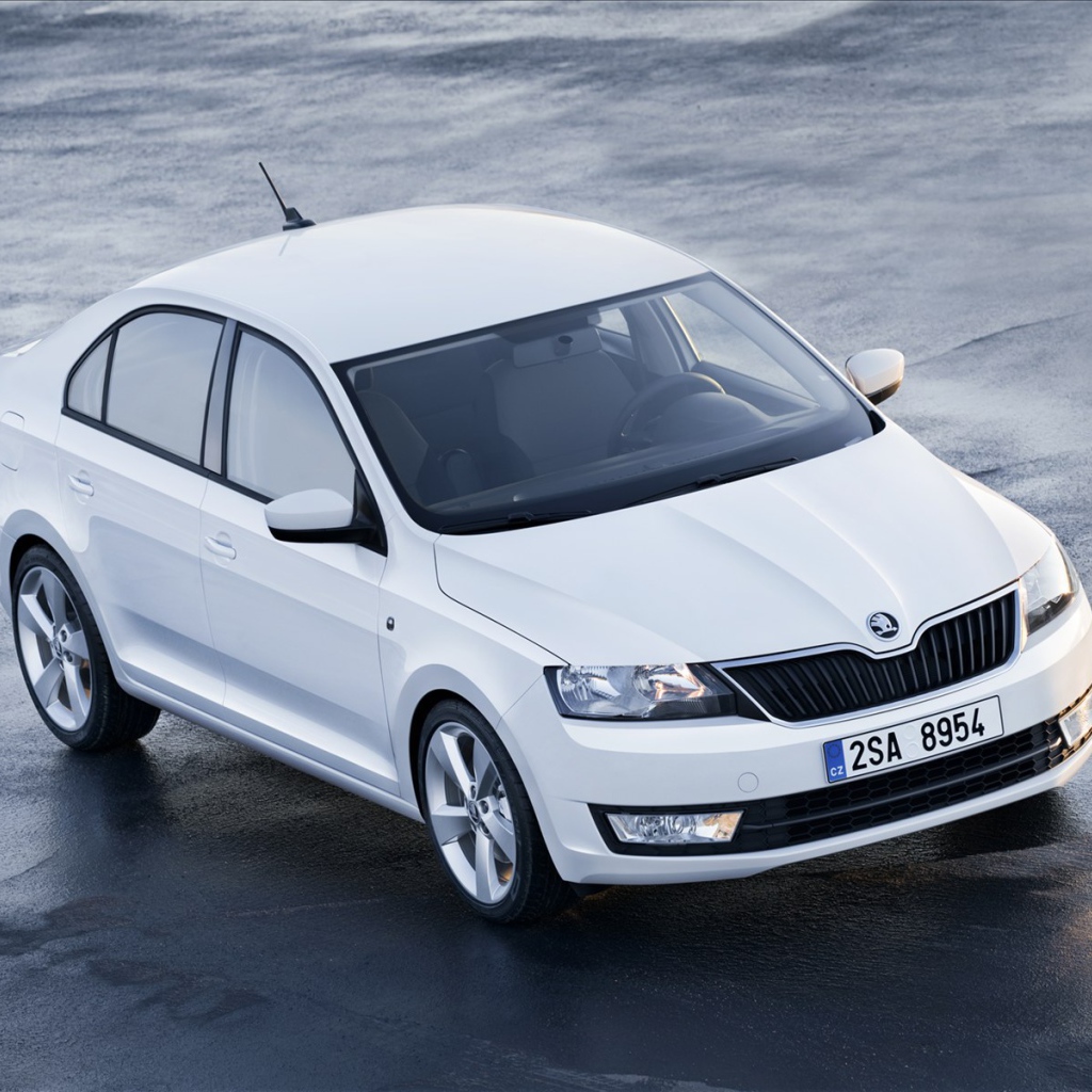 Красивый автомобиль Skoda Rapid в Москве