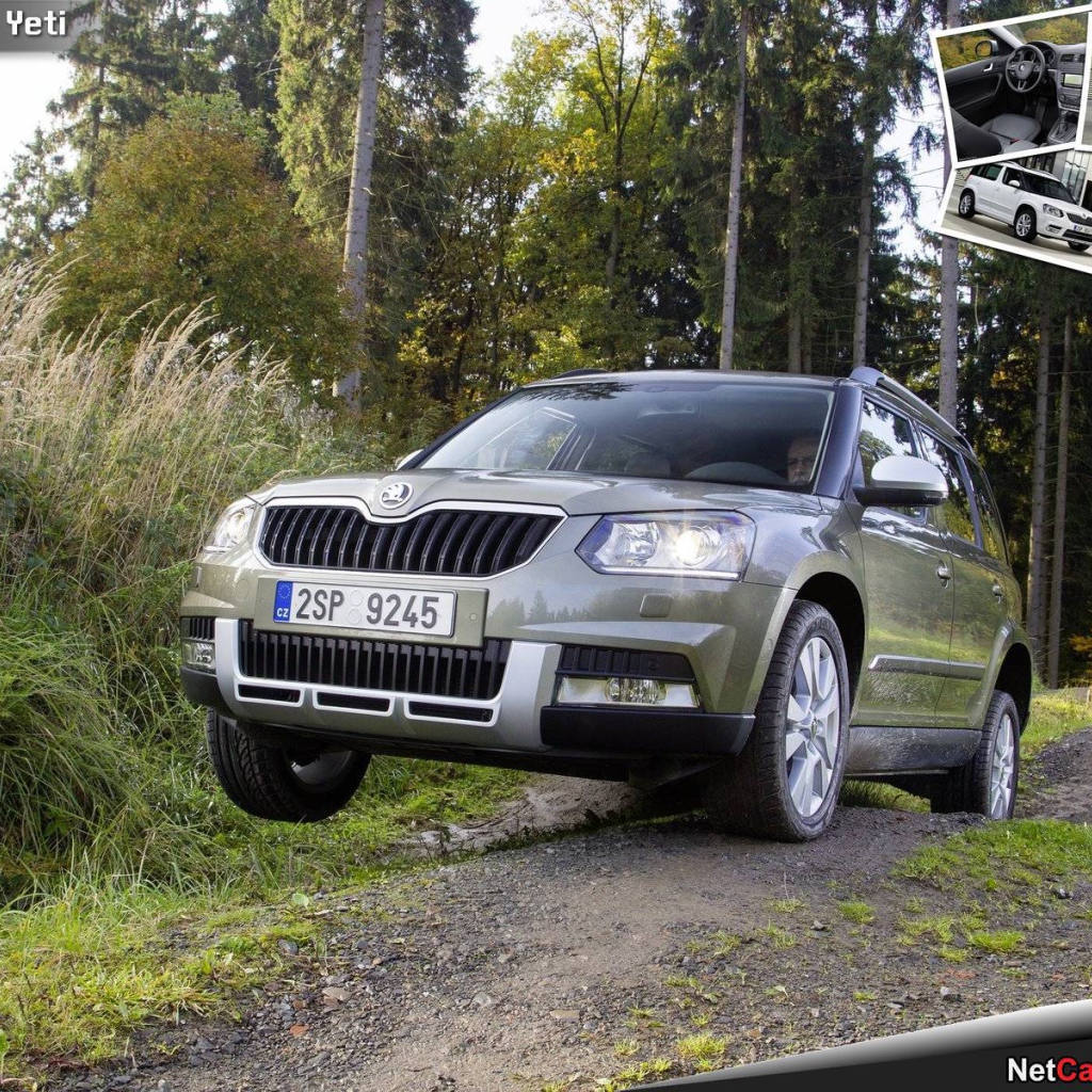 Красивый автомобиль Skoda Yeti 2014 в Москве