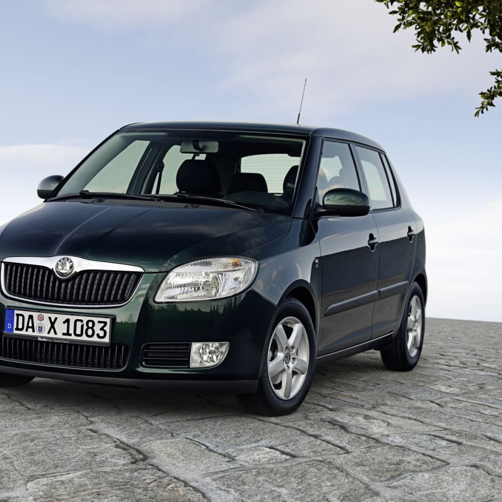 Автомобиль марки Skoda модели Fabia
