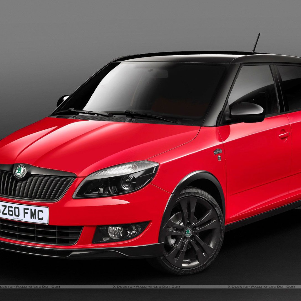 Тест драйв автомобиля Skoda Fabia