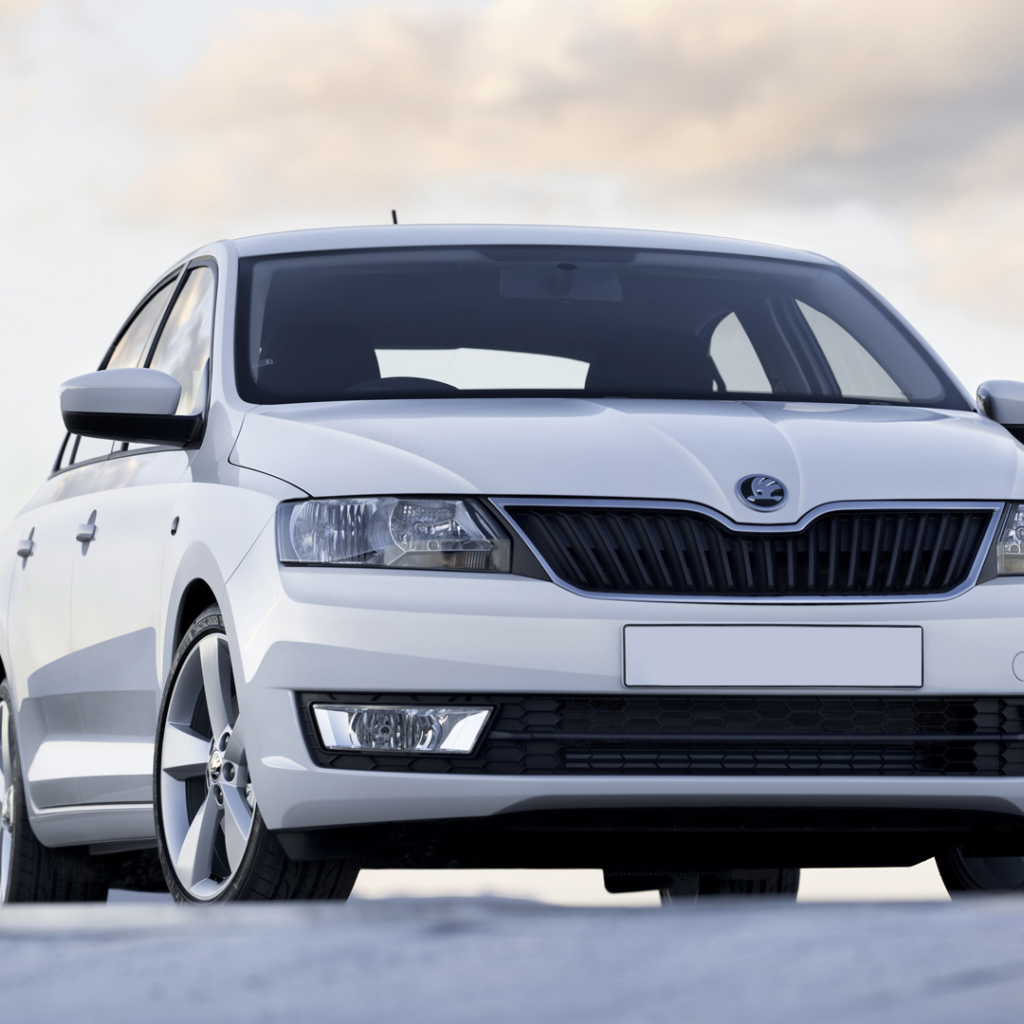 Тест драйв автомобиля Skoda Rapid