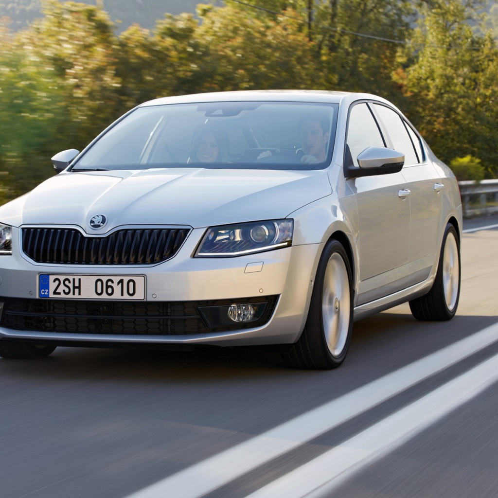 Надежная машина Skoda Octavia 2013