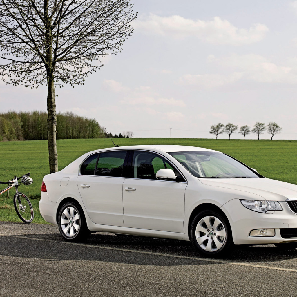 Надежная машина Skoda SuperB