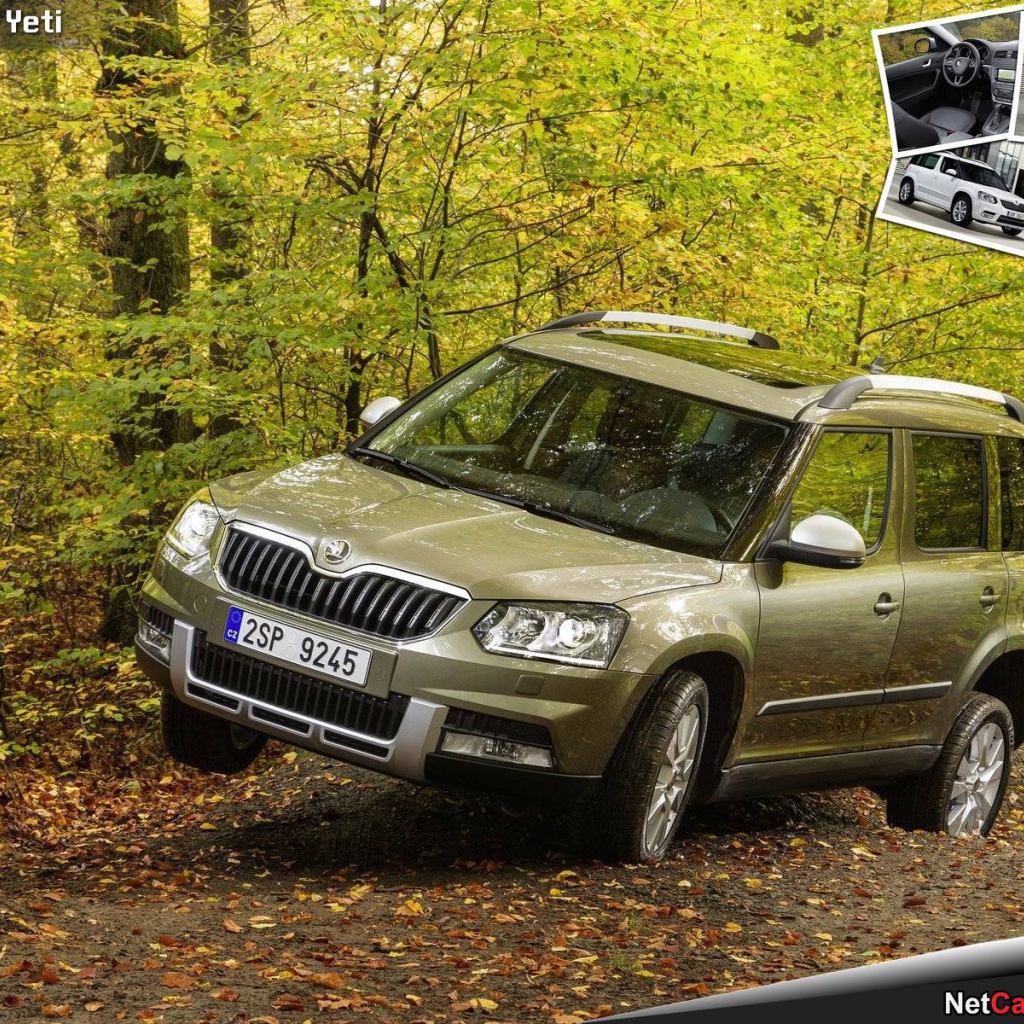 Надежная машина Skoda Yeti 2014
