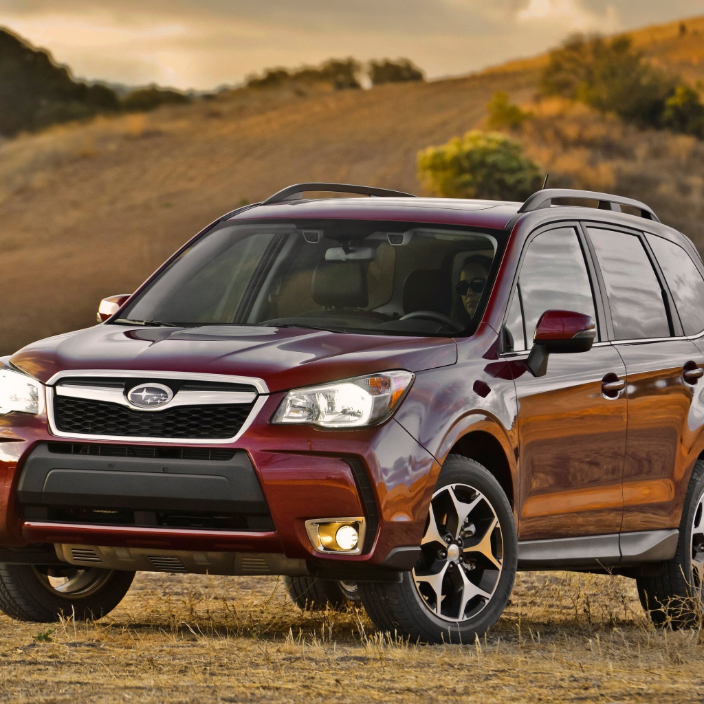 Красивый автомобиль Subaru Forester 2013